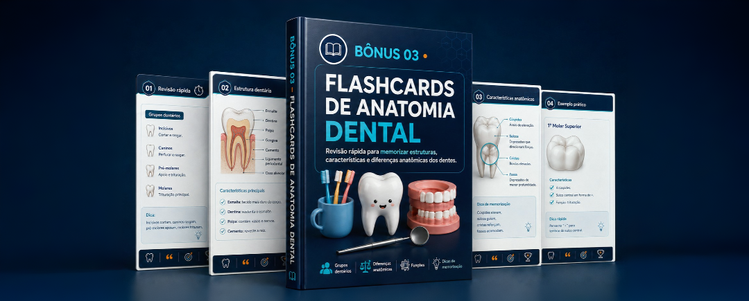 🧠 Flashcards de Anatomia Dental